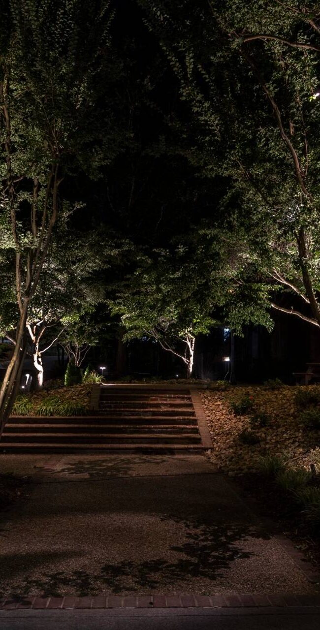 garden lighting trees pathway stairs